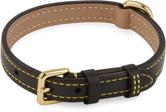 Brute Strength - Luxe leren halsband hond - Zwart - S - (26 - 33 cm) x 1,5cm - Afbeelding 1