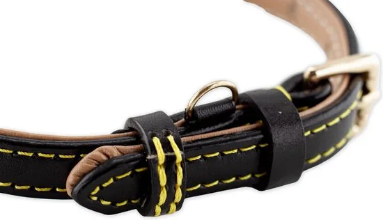 Brute Strength - Luxe leren halsband hond - Zwart - S - (26 - 33 cm) x 1,5cm thumbnail 4