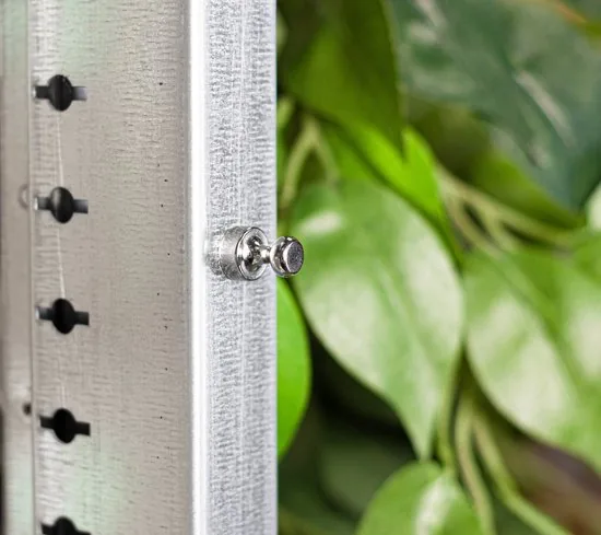 Brute Strength - Super sterke magnetische ophanghaakjes - Haakjes - Pionnen - 20 stuks - Neodymium magneet sterk thumbnail 3