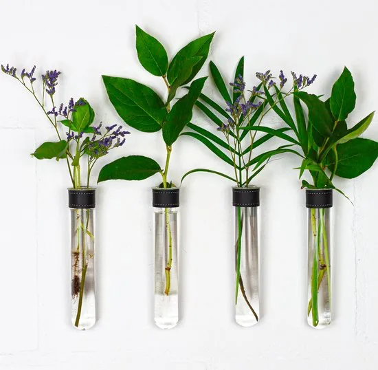 TWILG - Magnetische Muurvaasjes - 4 Stuks - Stek vaasjes - Glas - Zwart leer - Stekjes - Afbeelding 1