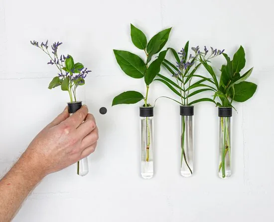 TWILG - Magnetische Muurvaasjes - 4 Stuks - Stek vaasjes - Glas - Zwart leer - Stekjes thumbnail 2