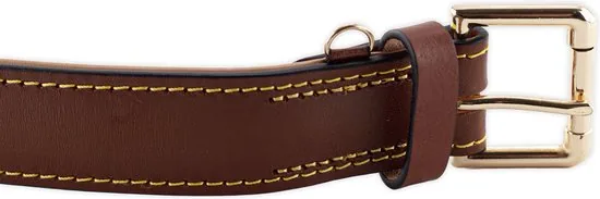 Brute Strength - Luxe leren halsband hond - Bruin - XL - (56 - 63) x 3,5 cm thumbnail 7