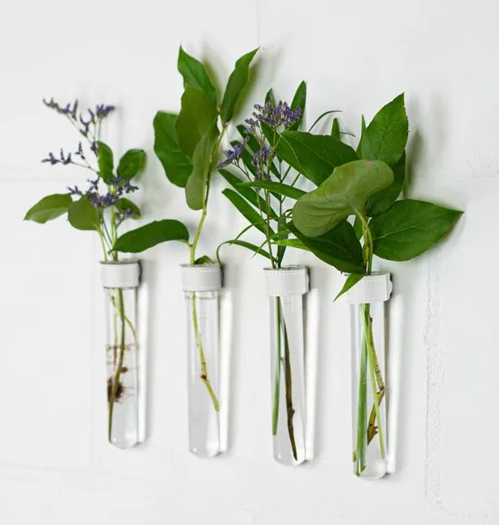 TWILG - Magnetische Muurvaasjes - 12 Stuks - Stek vaasjes - Glas - Wit leer - Stekjes thumbnail 3