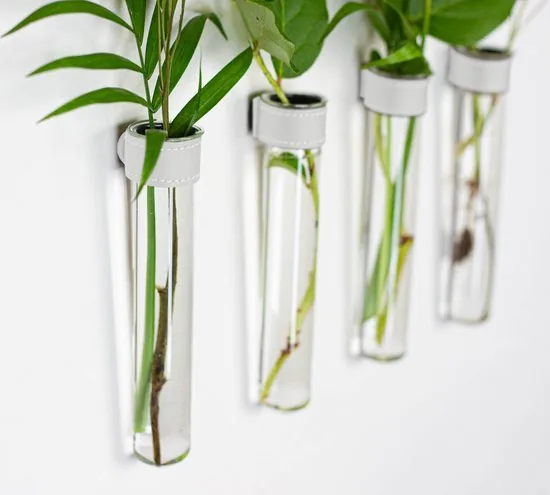 TWILG - Magnetische Muurvaasjes - 12 Stuks - Stek vaasjes - Glas - Wit leer - Stekjes thumbnail 4