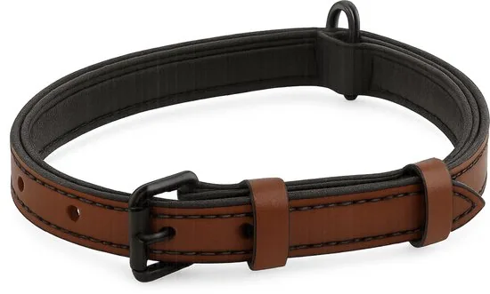 Brute Strength - Luxe leren halsband hond - Bruin met zwarte stiksels - S - (26 - 33 cm) x 1,5cm - Afbeelding 1