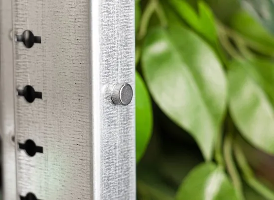 Brute Strength - Super sterke magneten - Rond - 10 x 5 mm - 40 Stuks - Geschikt voor radiatorfolie - Neodymium magneet sterk thumbnail 2