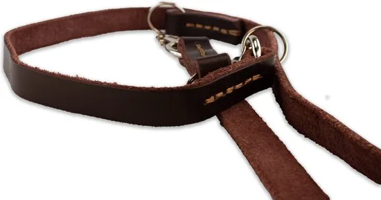 Multifunctionele Hondenriem - 220cm - Bruin - leren hondenriem - 100% volnerfleer thumbnail 10