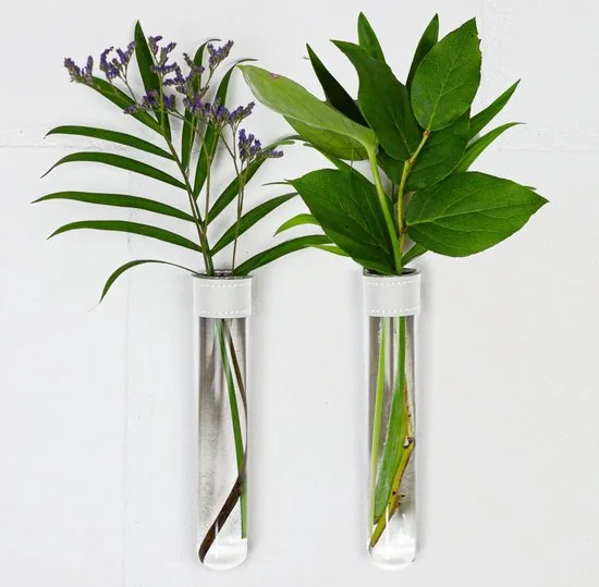 TWILG - Magnetische Muurvaasjes - 2 Stuks - Stek vaasjes - Glas - Wit leer - Stekjes - Afbeelding 1