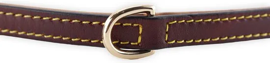 Brute Strength - Luxe leren halsband hond - Bruin - S - (26 - 33 cm) x 1,5cm - Halsband puppy thumbnail 4