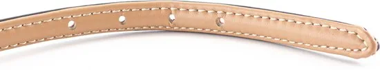 Brute Strength - Luxe leren halsband hond - Bruin - S - (26 - 33 cm) x 1,5cm - Halsband puppy thumbnail 5