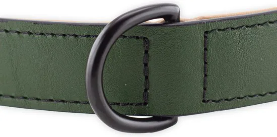 Brute Strength - Luxe leren halsband hond - Donker groen - XXL - (66 - 73) x 3,5 cm thumbnail 6