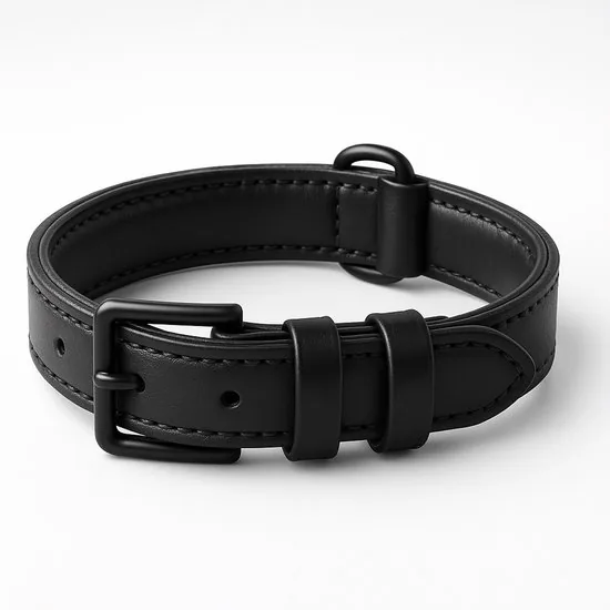 Brute Strength - Luxe leren halsband hond - Zwart met zwarte stiksels - M - (36 - 43 cm) x 2,5cm - Afbeelding 1