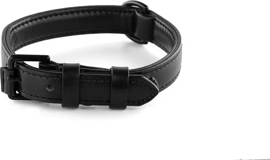 Brute Strength - Luxe leren halsband hond - Zwart met zwarte stiksels - M - (36 - 43 cm) x 2,5cm thumbnail 4