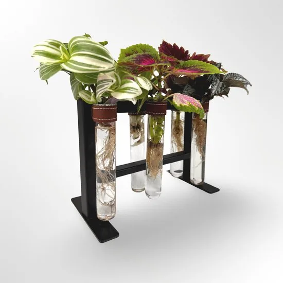 TWILG - Magnetische muurvaasjes met zwart stijlvol rekje en stekstation - Cognac - 6-delige set voor muur en tafel, inclusief N52 magneten en originele muuroplossing voor stekjes - Afbeelding 1