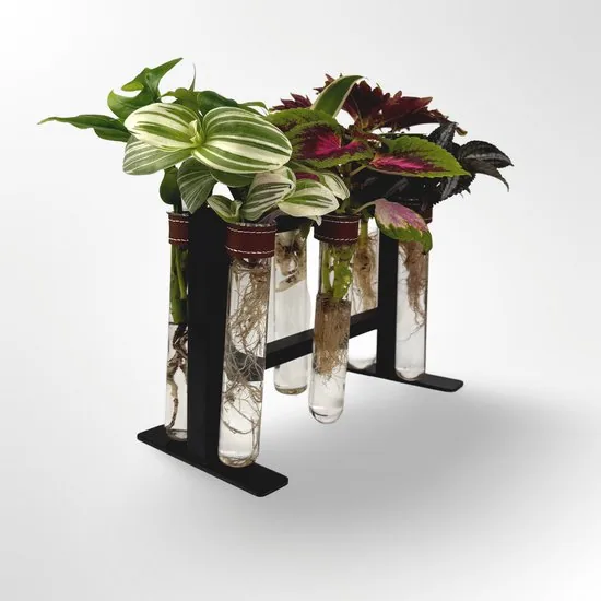 TWILG - Magnetische muurvaasjes met zwart stijlvol rekje en stekstation - Cognac - 6-delige set voor muur en tafel, inclusief N52 magneten en originele muuroplossing voor stekjes thumbnail 2