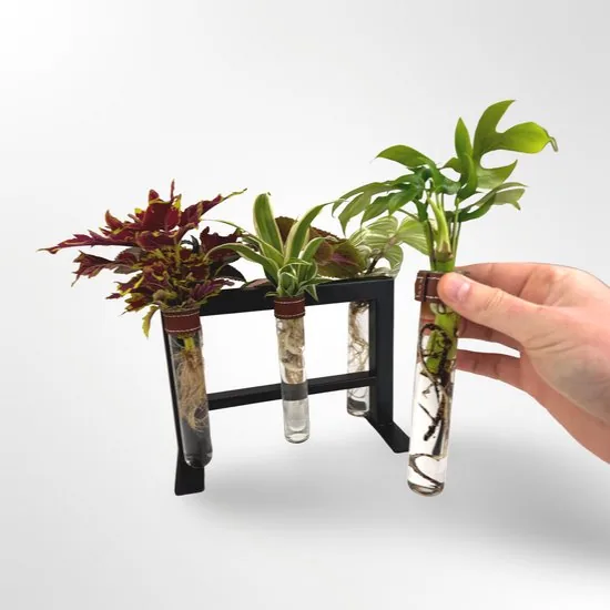 TWILG - Magnetische muurvaasjes met zwart stijlvol rekje en stekstation - Cognac - 6-delige set voor muur en tafel, inclusief N52 magneten en originele muuroplossing voor stekjes thumbnail 3