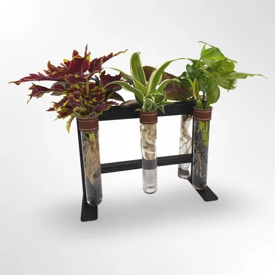 TWILG - Magnetische muurvaasjes met zwart stijlvol rekje en stekstation - Cognac - 6-delige set voor muur en tafel, inclusief N52 magneten en originele muuroplossing voor stekjes thumbnail 4