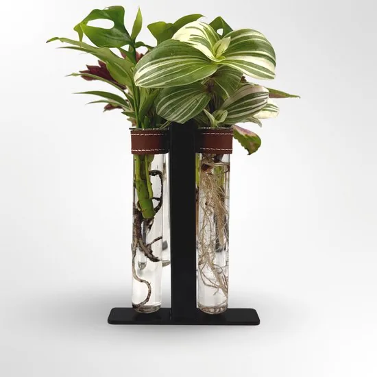 TWILG - Magnetische muurvaasjes met zwart stijlvol rekje en stekstation - Cognac - 6-delige set voor muur en tafel, inclusief N52 magneten en originele muuroplossing voor stekjes thumbnail 5