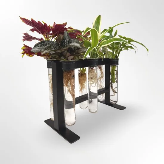 TWILG - magnetische vaasjes met zwart stijlvol rekje en stekstation - 6-delige set voor muur en tafel, inclusief N52 magneten en originele muuroplossing voor stekjes - Afbeelding 1