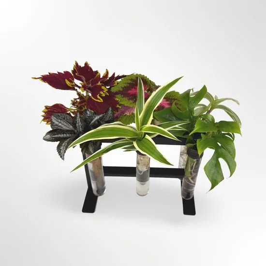 TWILG - magnetische vaasjes met zwart stijlvol rekje en stekstation - 6-delige set voor muur en tafel, inclusief N52 magneten en originele muuroplossing voor stekjes thumbnail 2