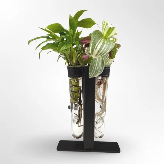 TWILG - magnetische vaasjes met zwart stijlvol rekje en stekstation - 6-delige set voor muur en tafel, inclusief N52 magneten en originele muuroplossing voor stekjes thumbnail 3