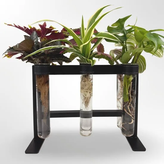 TWILG - magnetische vaasjes met zwart stijlvol rekje en stekstation - 6-delige set voor muur en tafel, inclusief N52 magneten en originele muuroplossing voor stekjes thumbnail 4