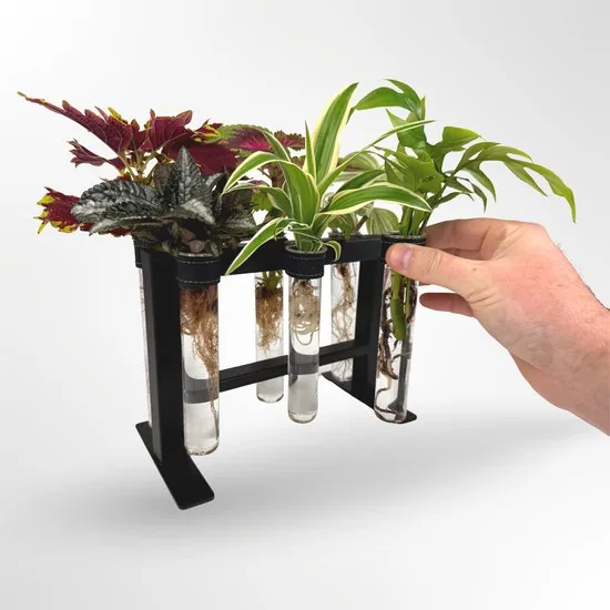 TWILG - magnetische vaasjes met zwart stijlvol rekje en stekstation - 6-delige set voor muur en tafel, inclusief N52 magneten en originele muuroplossing voor stekjes thumbnail 5