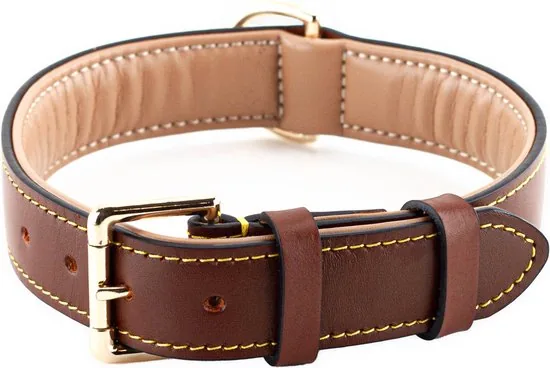 Brute Strength - Luxe leren halsband hond - Bruin - XXL - (66 - 73) x 3,5 cm - Afbeelding 1