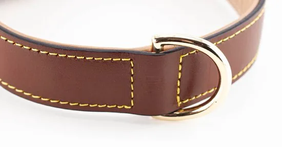 Brute Strength - Luxe leren halsband hond - Bruin - XXL - (66 - 73) x 3,5 cm thumbnail 2