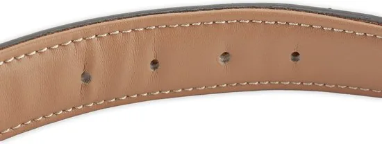 Brute Strength - Luxe leren halsband hond - Licht grijs - XL - (56 - 63) x 3,5 cm thumbnail 5