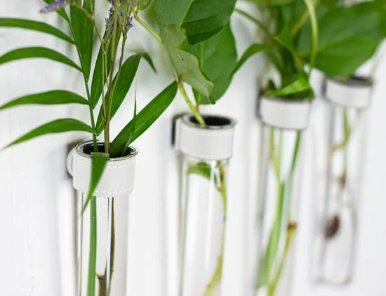 TWILG - Magnetische Muurvaasjes - 6 Stuks - Stek vaasjes - Glas - Wit leer - Stekjes thumbnail 2