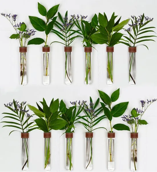 TWILG - Magnetische Muurvaasjes - 12 Stuks - Stek vaasjes - Glas - Cognac leer - Stekjes - Afbeelding 1