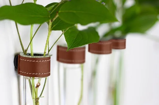 TWILG - Magnetische Muurvaasjes - 12 Stuks - Stek vaasjes - Glas - Cognac leer - Stekjes thumbnail 3