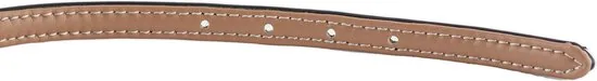 Brute Strength - Luxe leren halsband hond - Donker groen - S - (26 - 33 cm) x 1,5cm thumbnail 2