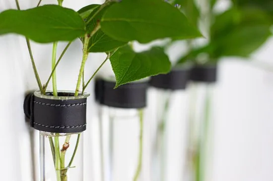 TWILG - Magnetische Muurvaasjes - 12 Stuks - Stek vaasjes - Glas - Zwart leer - Stekjes thumbnail 3