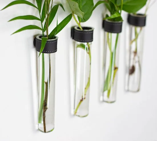 TWILG - Magnetische Muurvaasjes - 12 Stuks - Stek vaasjes - Glas - Zwart leer - Stekjes thumbnail 6