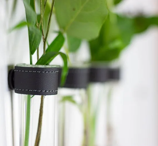 TWILG - Magnetische Muurvaasjes - 12 Stuks - Stek vaasjes - Glas - Zwart leer - Stekjes thumbnail 8