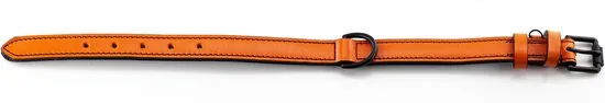 Brute Strength - Luxe leren halsband hond - Oranje - M - (36 - 43 cm) x 2,5cm thumbnail 4