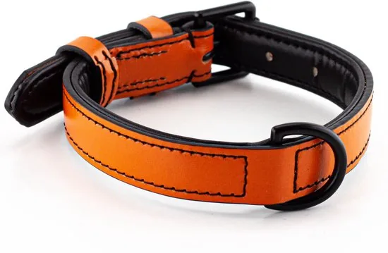 Brute Strength - Luxe leren halsband hond - Oranje - M - (36 - 43 cm) x 2,5cm thumbnail 7