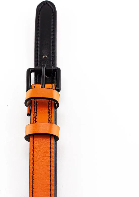 Brute Strength - Luxe leren halsband hond - Oranje - M - (36 - 43 cm) x 2,5cm thumbnail 8