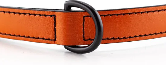 Brute Strength - Luxe leren halsband hond - Oranje - M - (36 - 43 cm) x 2,5cm thumbnail 9