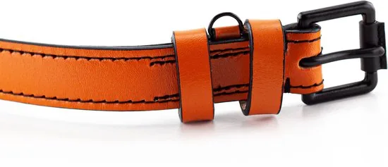 Brute Strength - Luxe leren halsband hond - Oranje - M - (36 - 43 cm) x 2,5cm thumbnail 10