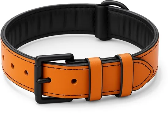Brute Strength - Luxe leren halsband hond - Oranje - L - (46 - 53 cm) x 3,5cm - Afbeelding 1