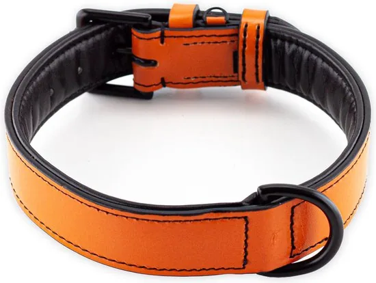 Brute Strength - Luxe leren halsband hond - Oranje - L - (46 - 53 cm) x 3,5cm thumbnail 8