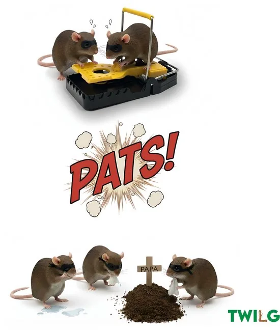 TWILG - Rattenval - Rattenklem - 12 stuks - Rattenvallen voor binnen en buiten - Rattengif en rattenvergif alternatief thumbnail 4