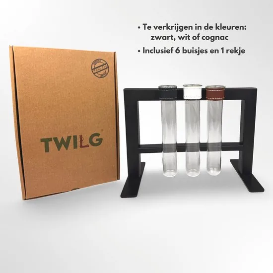 TWILG - magnetische vaasjes met zwart stijlvol rekje en stekstation - Wit - 6-delige set voor muur en tafel, inclusief N52 magneten en originele muuroplossing voor stekjes thumbnail 2