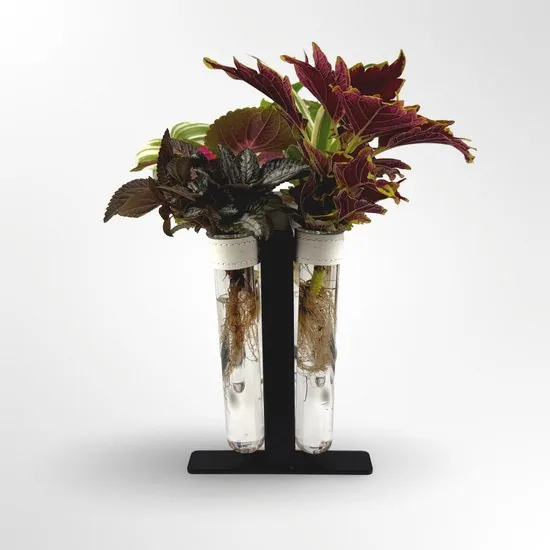 TWILG - magnetische vaasjes met zwart stijlvol rekje en stekstation - Wit - 6-delige set voor muur en tafel, inclusief N52 magneten en originele muuroplossing voor stekjes thumbnail 3