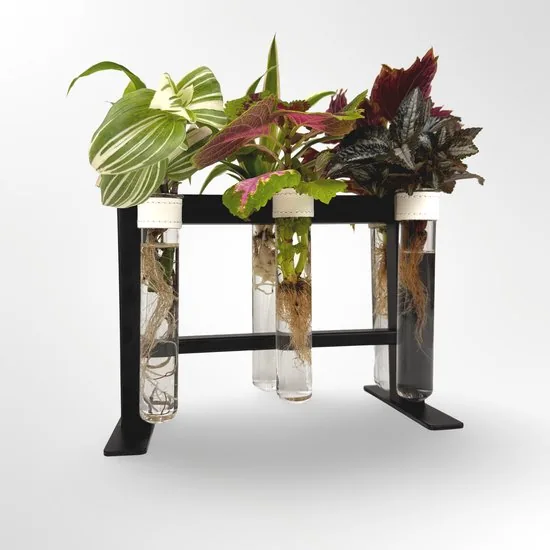 TWILG - magnetische vaasjes met zwart stijlvol rekje en stekstation - Wit - 6-delige set voor muur en tafel, inclusief N52 magneten en originele muuroplossing voor stekjes thumbnail 4