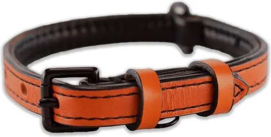 Brute Strength - Luxe leren halsband hond - Oranje - S - (26 - 33 cm) x 1,5cm - Afbeelding 1