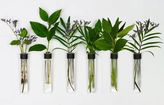 TWILG - Magnetische Muurvaasjes - Stek vaasjes - 6 Stuks - Glas - Zwart leer - Afbeelding 1